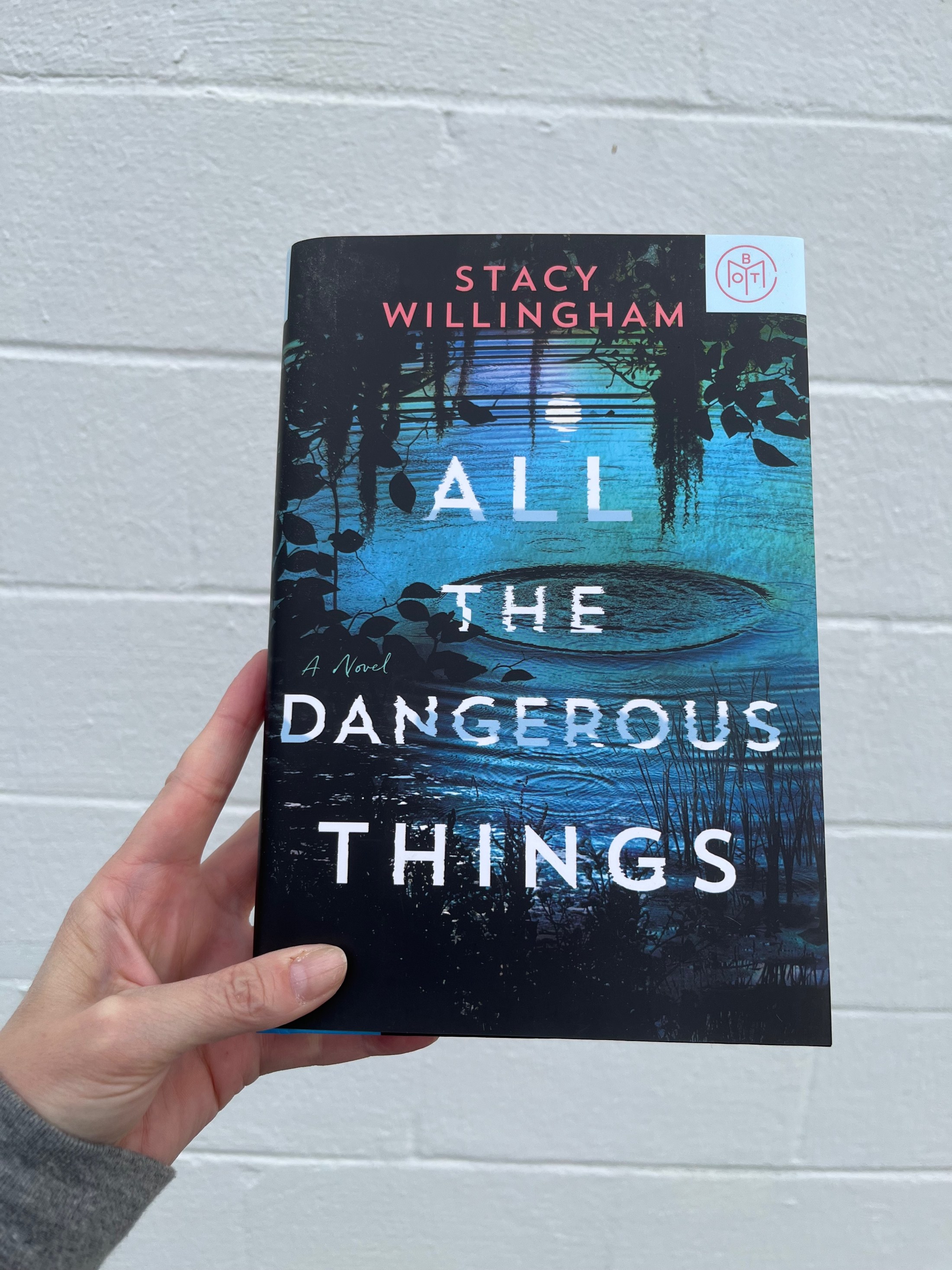 All The Dangerous Things By Stacy Willingham Book Picks And Pics